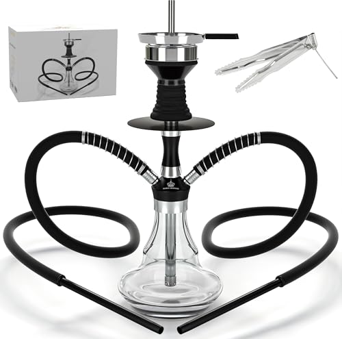 NOBLE HOOKAH 43cm Reise Shisha Set Klein Shisha Mini Shisha to go mit Hochwertigem Zubehör - mundgeblasene Flasche und Edelstahl-Downpipe 2 Schläuche und Griff