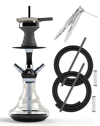 NOBLE HOOKAH Shisha Set Klein Shisha Mini Shisha to go mit Hochwertigem Zubehör - mundgeblasene Flasche 2 Schlauch