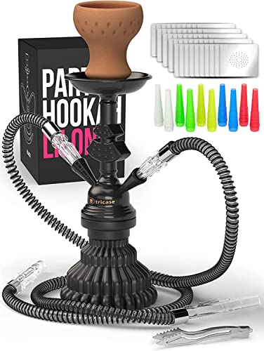 Shisha Set Klein mit 2 Schläuche - 30cm Schwarz Mini zubehör 50x Folie + Tonkopf + 10x Spitzen 2x Mundstück Zange Tragbares mit allem Shisha-Kit